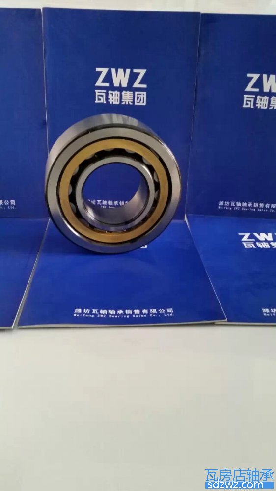 單列圓柱滾子軸承 NJP3220TN1/HG2P54單列圓柱滾子軸承